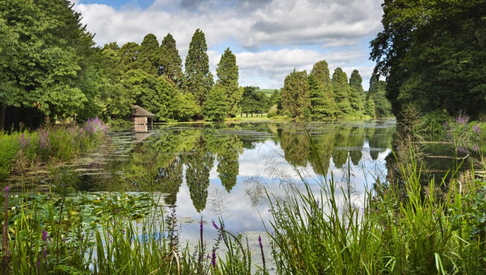 Tredegar House Country Park, United Kingdom